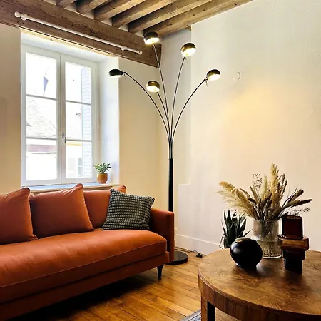 Hypercentre Appartement Dijon