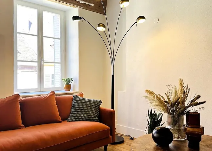 Hypercentre Appartamento Digione